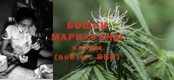 трава Армянск