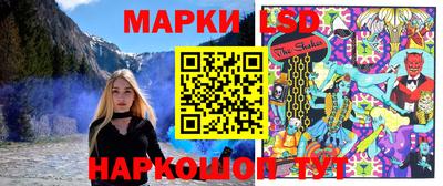 молекула духа Будённовск