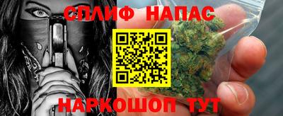 молекула духа Будённовск