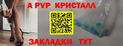 молекула духа Будённовск