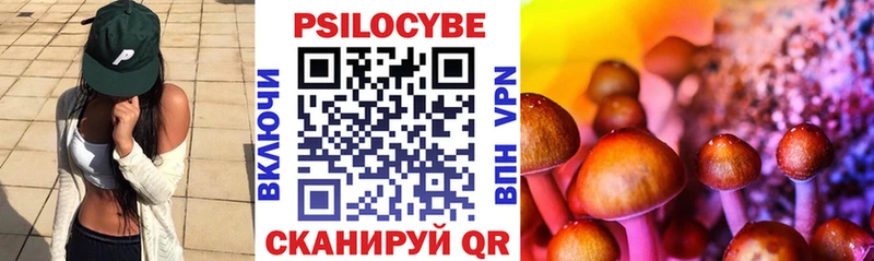 гидра маркетплейс  Дмитров  Псилоцибиновые грибы MAGIC MUSHROOMS  купить  
