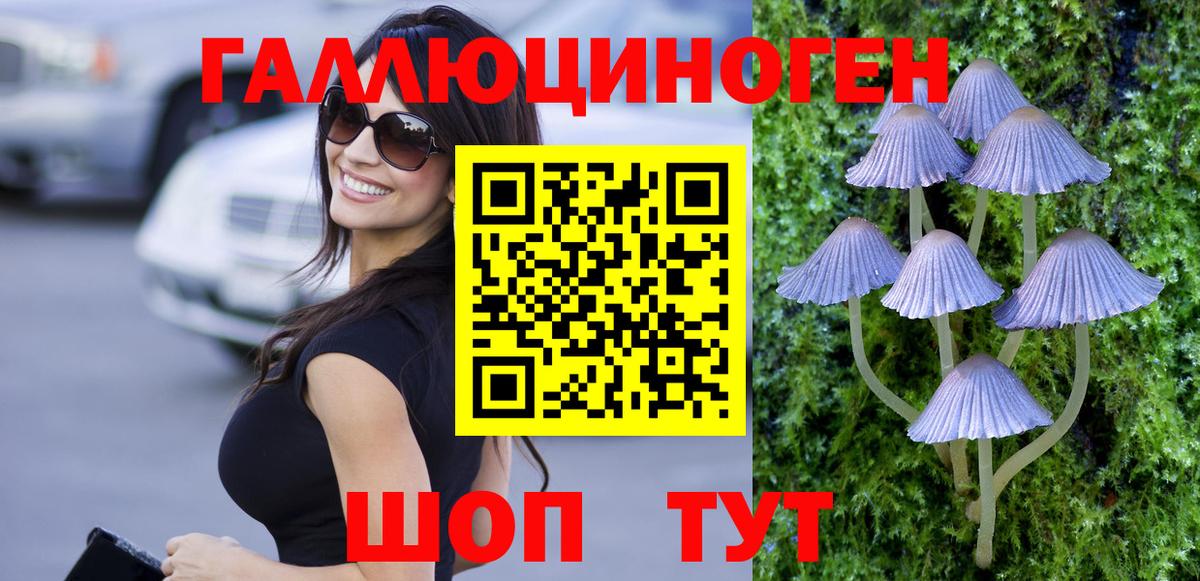 Галлюциногенные грибы MAGIC MUSHROOMS Дмитров