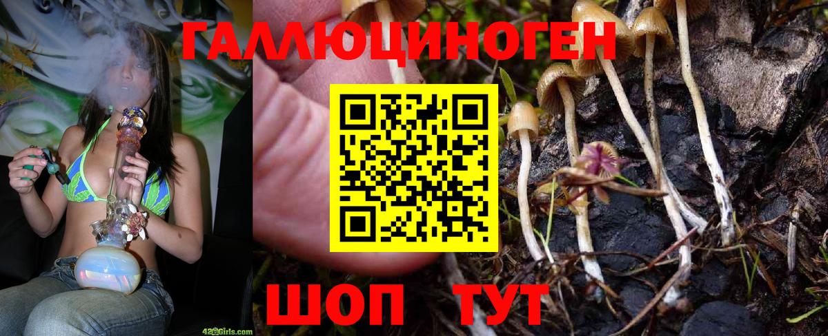 Псилоцибиновые грибы MAGIC MUSHROOMS  Дмитров 