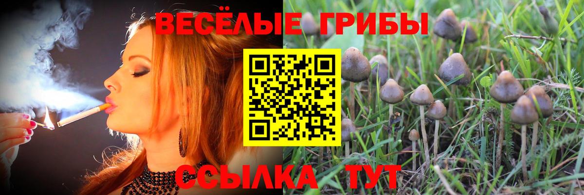 Галлюциногенные грибы мухоморы  Вход с VPN  Псилоцибиновые грибы мухоморы  Дмитров 