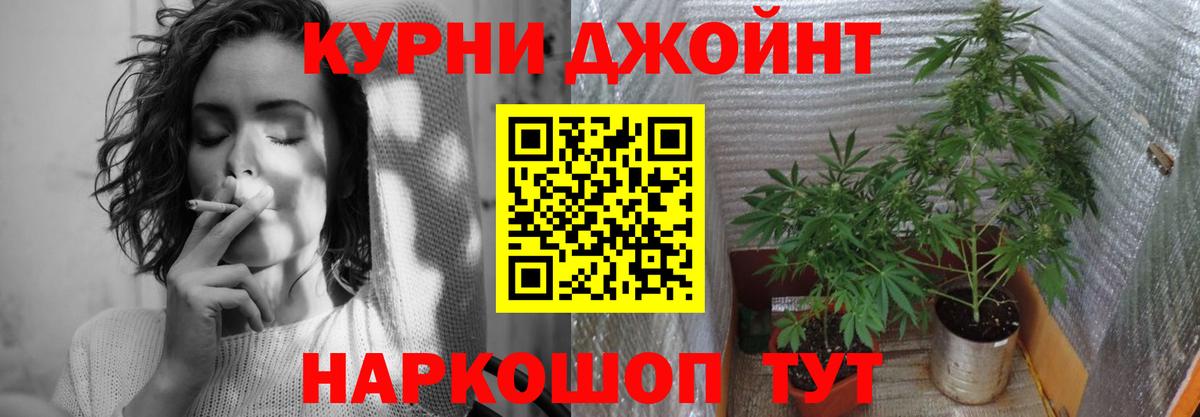 Бошки Шишки планчик  Вход с VPN  Конопля план  Бошки марихуана тримм  Дмитров 